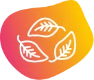 icone feuille