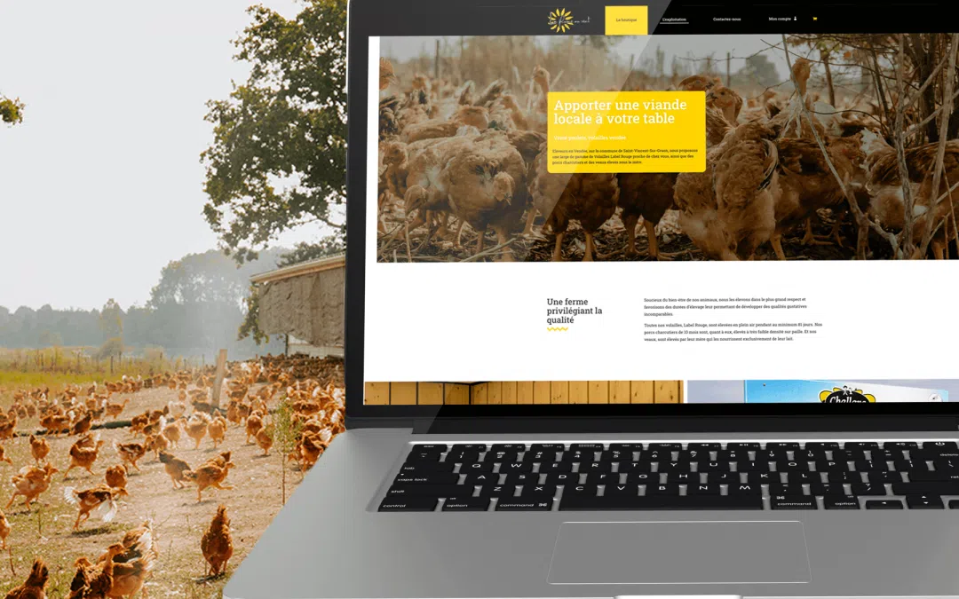 Site e-commerce pour TPE – La plume au vent