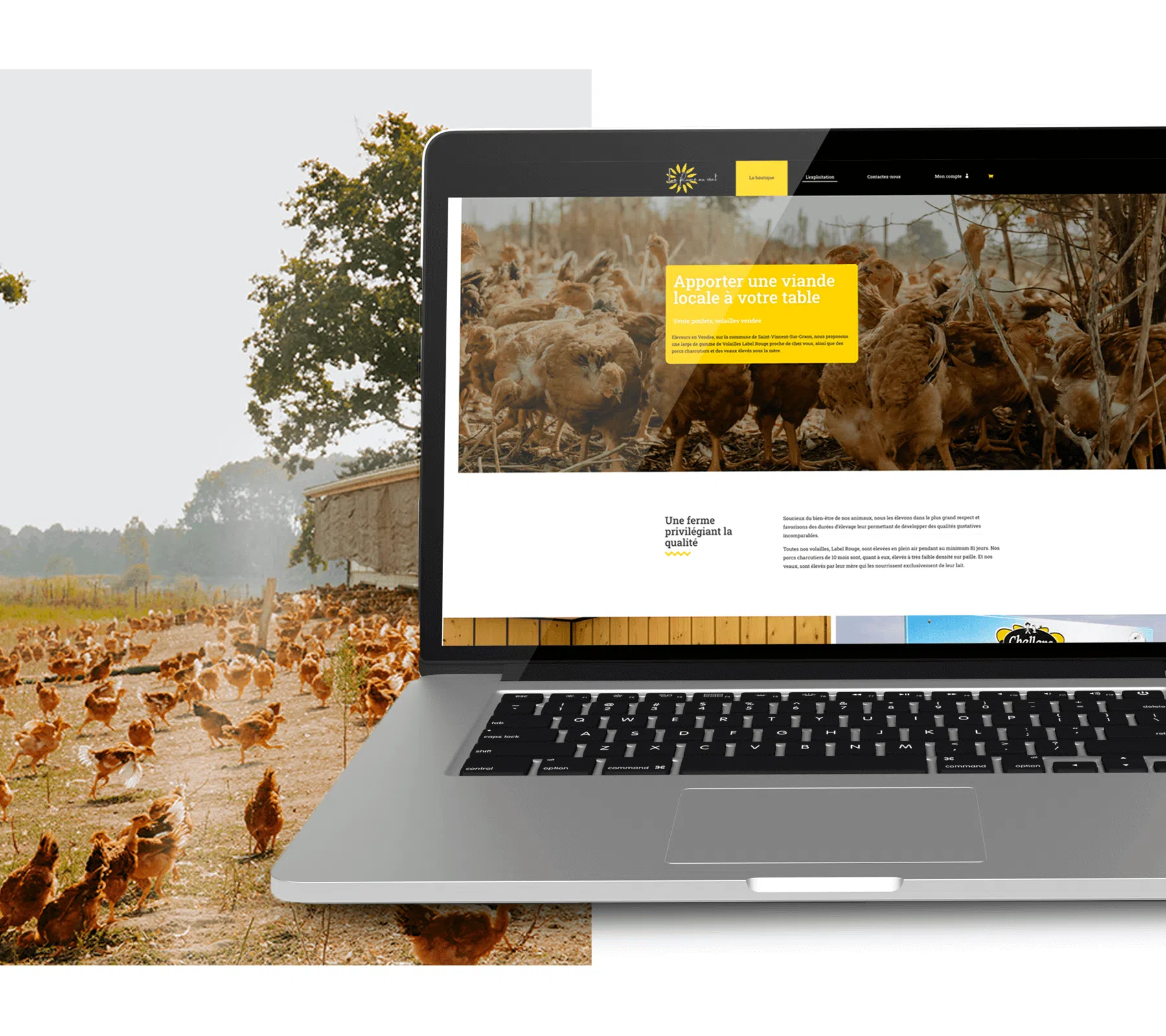 la plume au vent création de site web