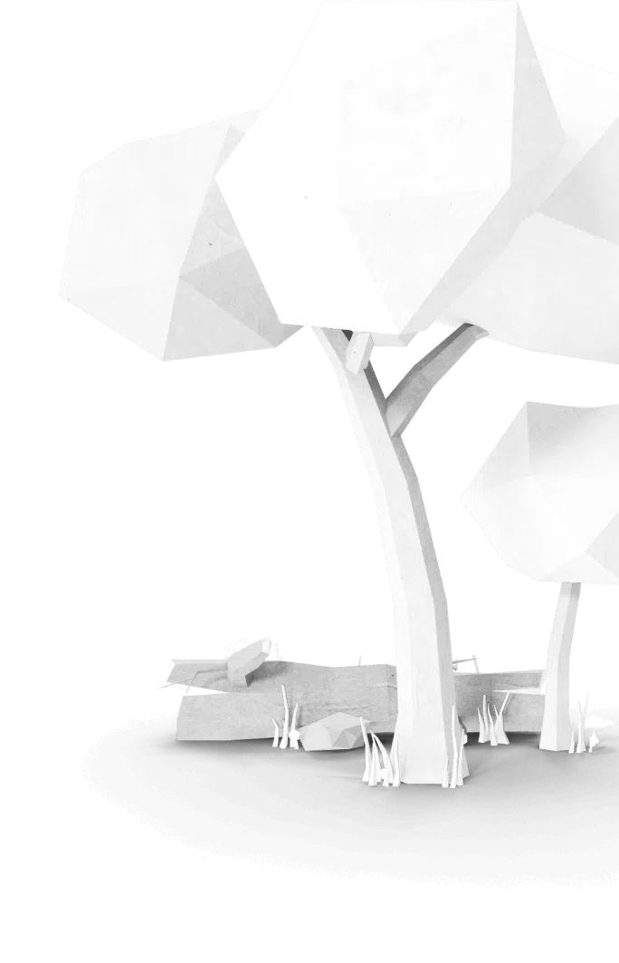arbre 2