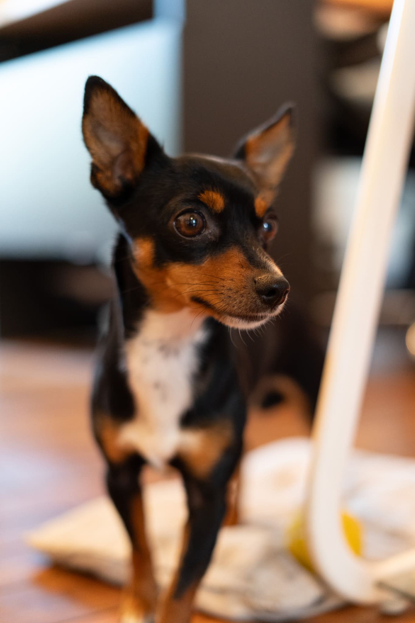 Turbo