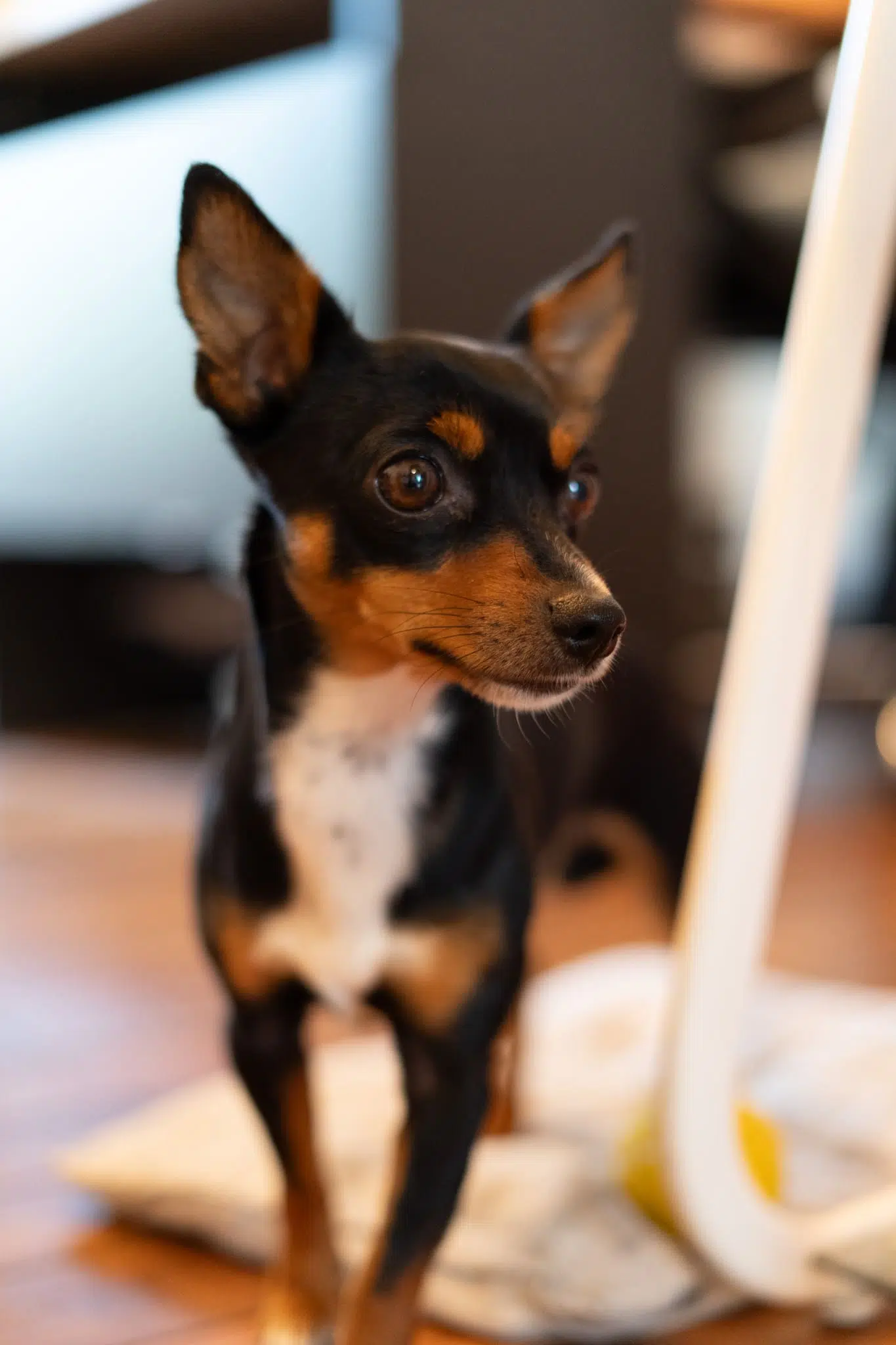 Turbo