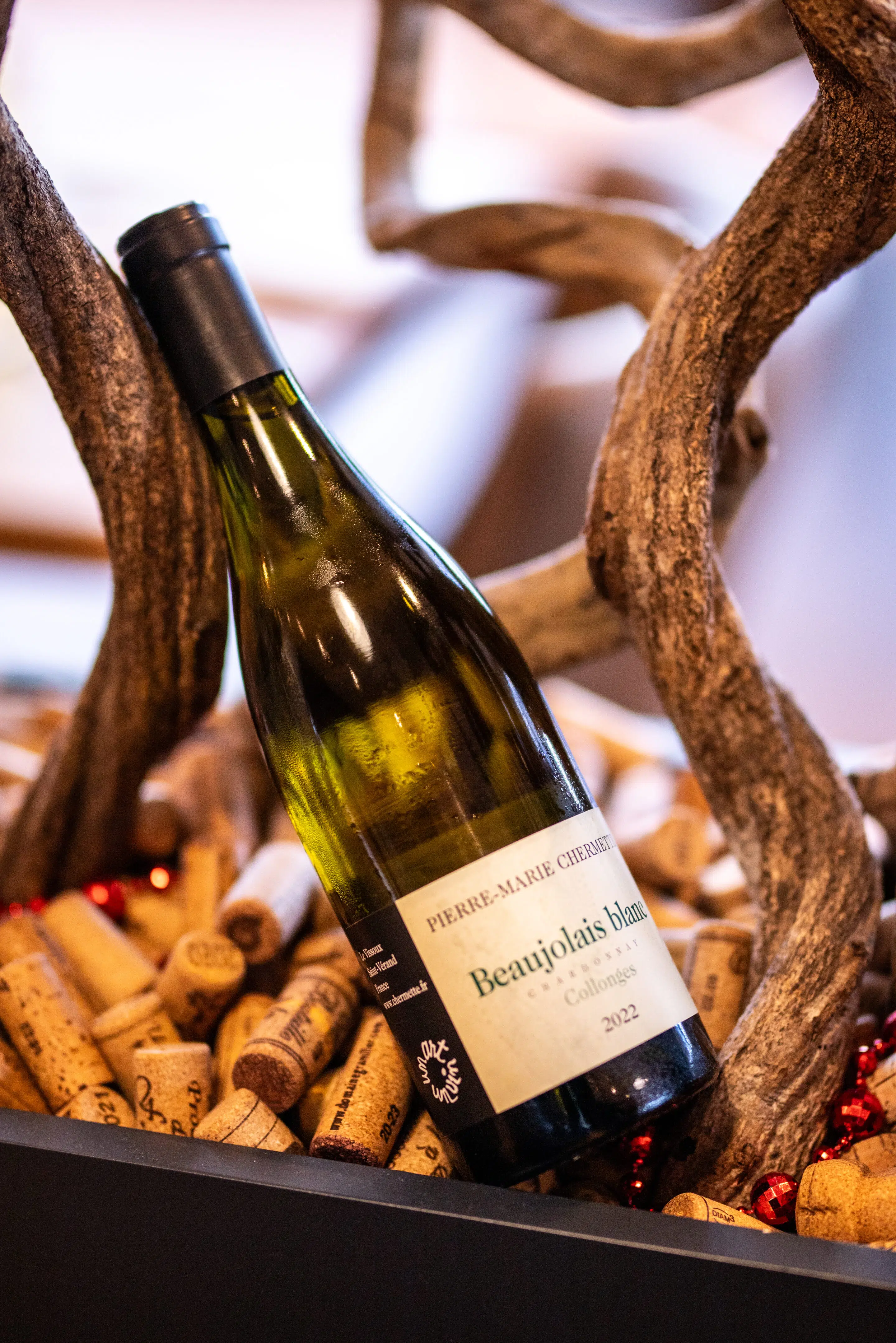Vins Beaujolais