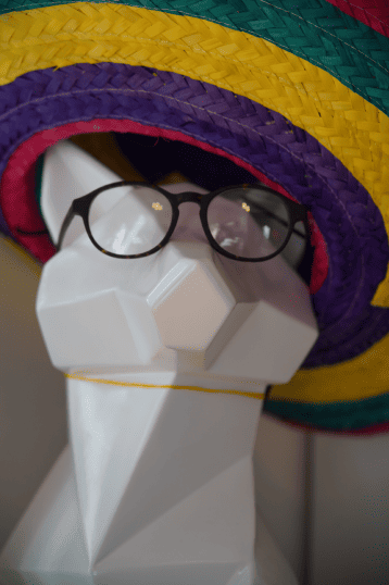 Renard chapeau